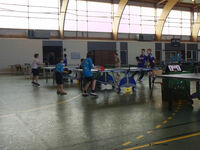 CJA_T4foug_09-10_08