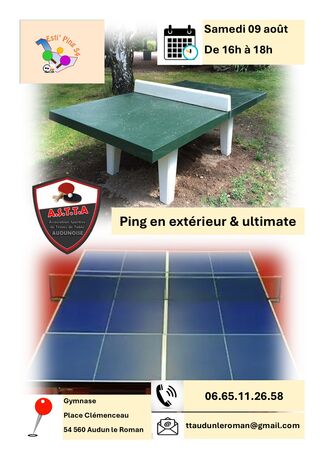 estiping_audunleroman_250809
