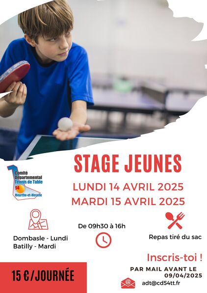 Affiche_Stage_CD54_2504