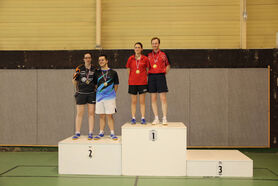 FIS_DX_2013