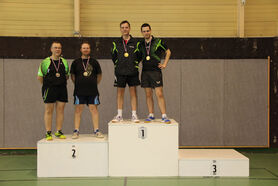FIS_DM_2013