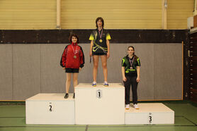 FIS_D10_2013