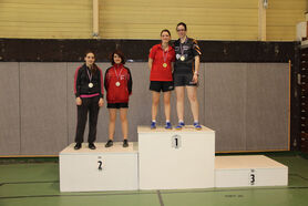 FIS_DD_2013