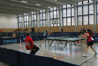 indiv54-16_238