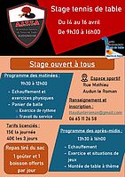 stage_Audunleroman_26avr