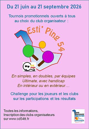affiche_estiping_26